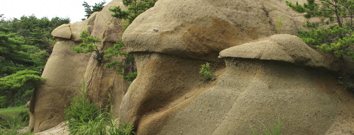 🏞️ 정토송 공원(조도마츠 코엔) 이미지 2